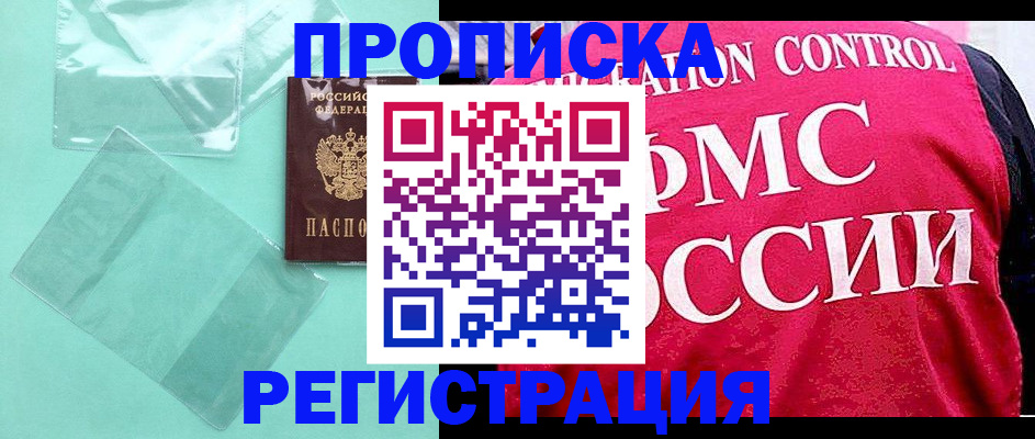 прописка 2025 в Краснодаре